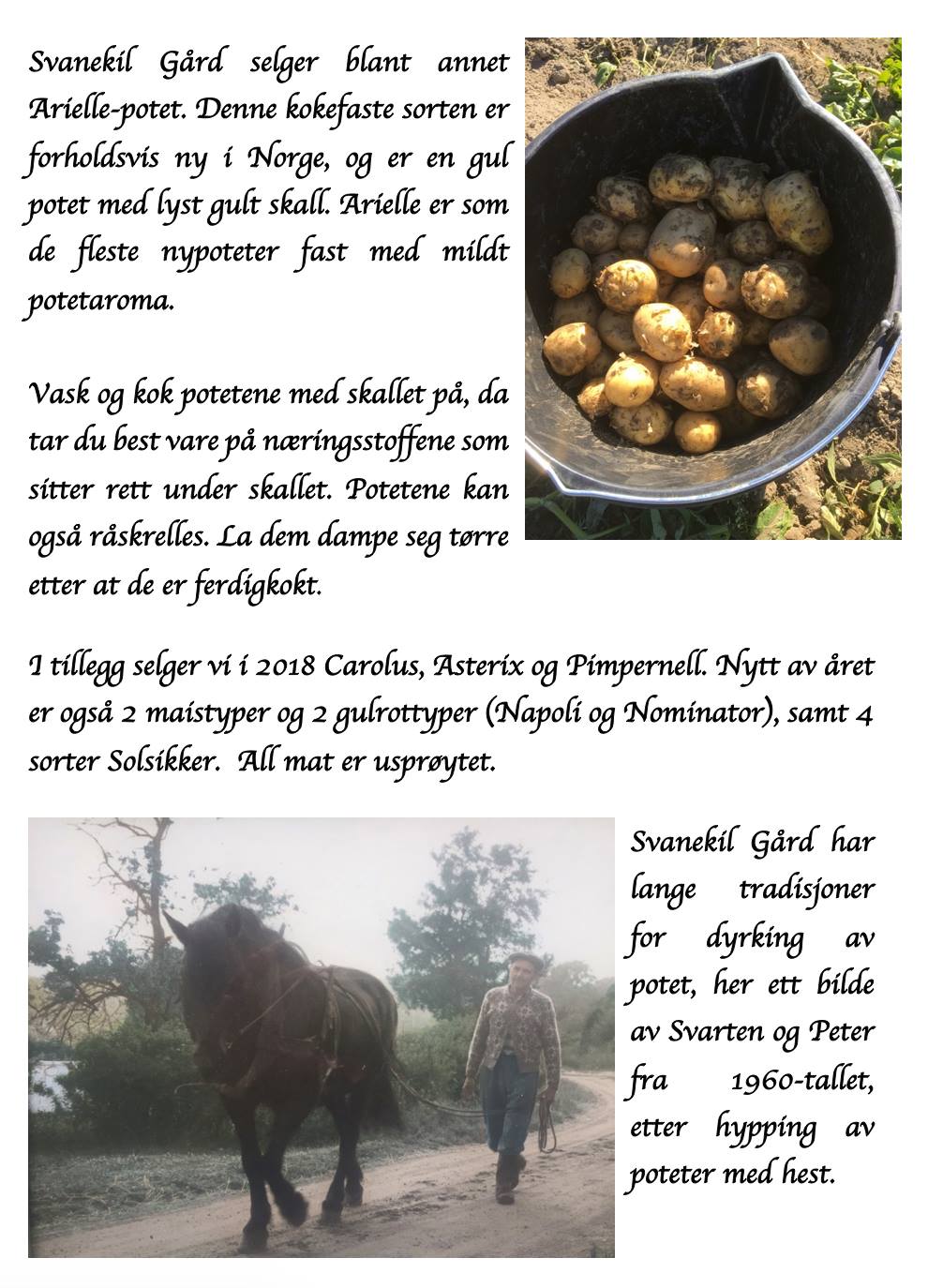 28947893_1959236777737911_8880721758826856506_o